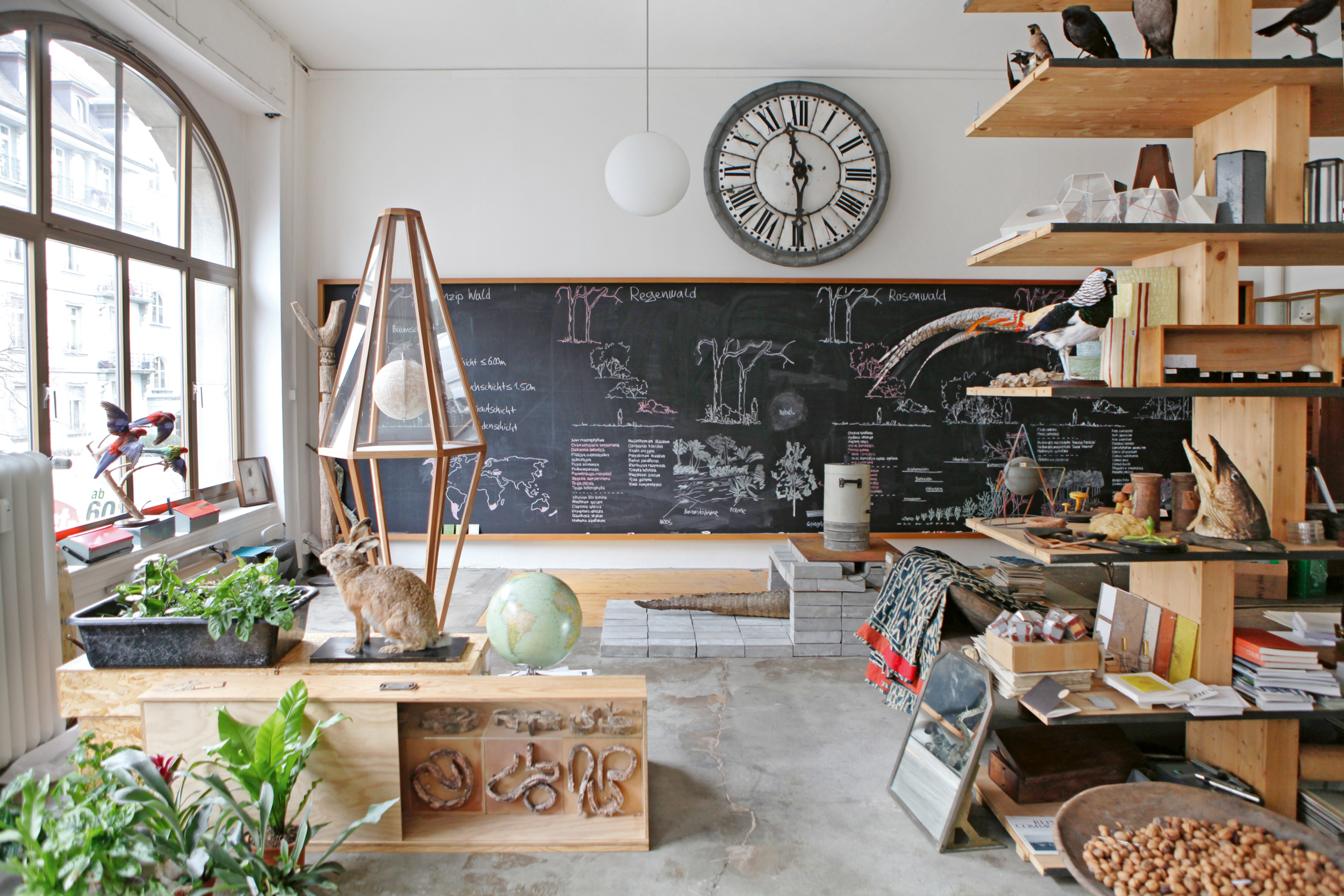 Ein helles Atelier mit großen Fenstern und vielen Pflanzen, naturwissenschaftlichen Objekten und Holzregalen. In der Mitte stehen ein ausgestopftes Tier, ein Globus und ein geometrisches Holzobjekt. Im Hintergrund befindet sich eine große Kreidetafel mit Zeichnungen und Notizen zu verschiedenen Waldtypen. Eine große Wanduhr hängt darüber, und auf den Regalen sind Bücher, Modelle, präparierte Vögel und andere Sammlungsstücke zu sehen.